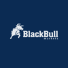 BlackBull Markets